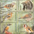 画像1: ミクロネシア切手　2001年　鳥　キバシリ　6種 (1)