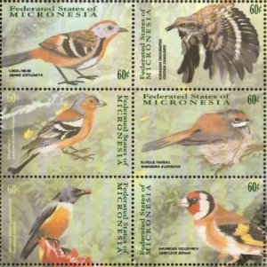 画像1: ミクロネシア切手　2001年　鳥　キバシリ　6種