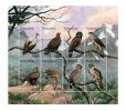 画像2: タンザニア切手　1996年　猛禽類　鳥　ヤシハゲワシ　8種 (2)