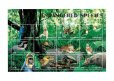 画像1: タンザニア切手　1998年　絶滅危惧種　鳥　動物　スミレコンゴウインコ　12種 (1)