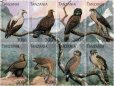 画像1: タンザニア切手　1996年　猛禽類　鳥　ヤシハゲワシ　8種 (1)