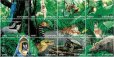 画像2: タンザニア切手　1998年　絶滅危惧種　鳥　動物　スミレコンゴウインコ　12種 (2)