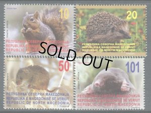 画像1: 北マケドニア切手　2022年   キタリス　動物　哺乳類　4種
