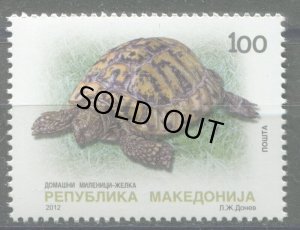 画像1: マケドニア切手    2012年　ヘルマンリクガメ　爬虫類　1種