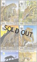 イスラエル切手　2011年　WWF　コーカサスヒョウ　動物　タブ付き　4種