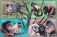 画像1: キューバ切手 　2020年　霊長目　哺乳類　サル　4種 (1)