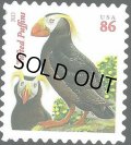 アメリカ切手　2013年　鳥　エトピリカ 1種