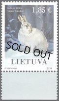 リトアニア切手 　2024年　ユキウサギ　1種