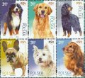 ポーランド切手　2022年　犬　ダックスフンド　6種