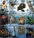 ニカラグア切手　1999年　鳥　動物　中央アメリカの動物相　トキイロコンドル　12種