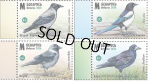 画像1: ベラルーシ切手　2024年　鳥　カササギ 　4種