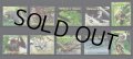 トリニダード・トバゴ切手  2001年　絶滅危惧種の動物　鳥　オサガメ　10種