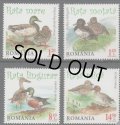 ルーマニア切手　2014年　鳥　カモ　4種