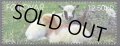 フェロー諸島切手　2013年　羊　1種