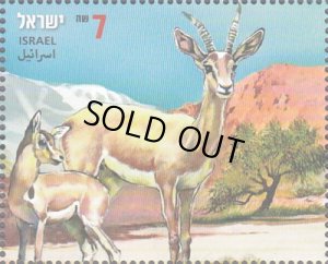 画像2: イスラエル切手　2013年　イスラエル・グリーンランド共同問題　ドルカスガゼル　1種