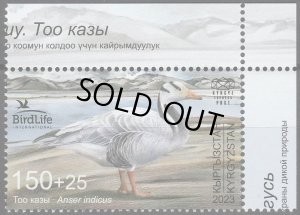 画像1: キルギス切手　2023年　鳥　インドガン　1種