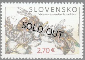 画像1: スロバキア 切手 　2023年　セイヨウミツバチ　1種
