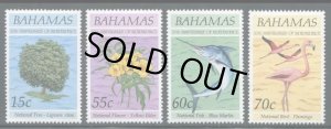 画像1: バハマ切手　1993年　鳥　ベニイロフラミンゴ　　ニシクロカジキ　4種