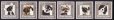 画像1: キュラソー島切手　2015年　犬　チワワ　パグ　6種 (1)