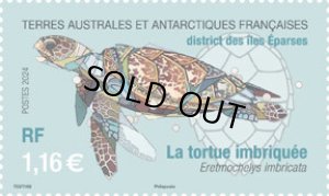 画像1: フランス領南極地域切手　2024年　カメ　タイマイ　1種