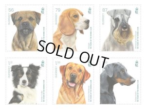 画像1: ガーンジー島切手　2023年　犬　ケネルクラブ150周年　ラブラドール・レトリバー　6種