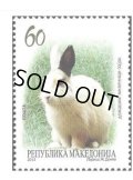 マケドニア切手  2013年　ウサギ　 動物　1種