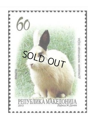 画像1: マケドニア切手  2013年　ウサギ　 動物　1種