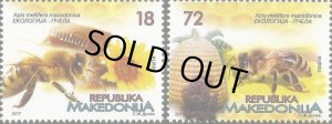 画像1: マケドニア切手 　2017年　マケドニアミツバチ　2種