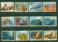 画像1: 国連切手 2008年　絶滅危惧種　コククジラ　12種 (1)