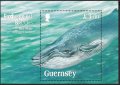 ガーンジー島切手　2011年　絶滅危惧種　シロナガスクジラ 動物　1種