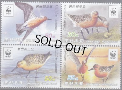 画像1: 北朝鮮切手 2015年　WWF　鳥　コウバシギ　4種