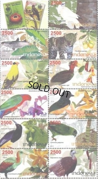 画像1: インドネシア切手　2008年　州の動植物　鳥　花　11種