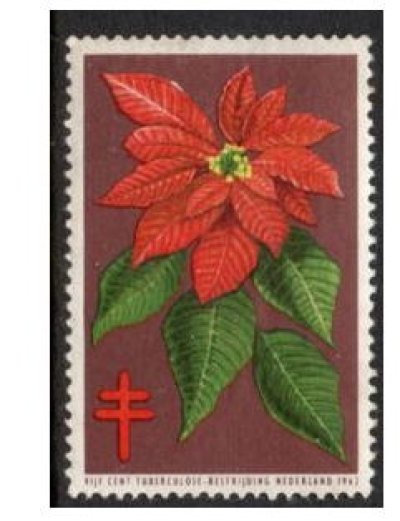 画像1: オランダ 1962年 クリスマスシール 花