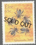 アイルランド切手　2005年　昆虫　セイヨウミツバチ　1種