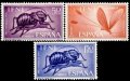 イフニ切手　1965年　昆虫　3種