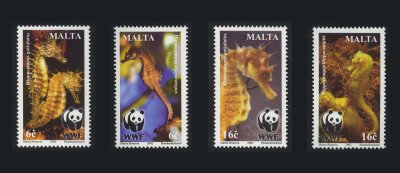 画像1: マルタ切手　2002年　WWF 地中海タツノオトシゴ　4種