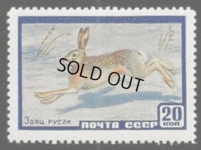 画像1: ロシア　旧ソ連切手　1959-60年　ソ連の動物　うさぎ　1種