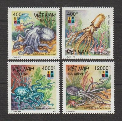 画像1: ベトナム切手　1999年　世界最大のタコ　軟体動物　4種