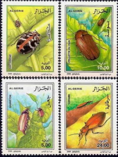 画像1: アルジェリア切手　2000年　昆虫　カブトムシ　4種