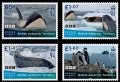 イギリス領南極地方　2023年　フローズンプラネットII　ペンギン　シャチ　4種