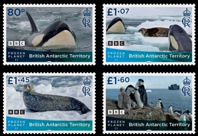 画像1: イギリス領南極地方　2023年　フローズンプラネットII　ペンギン　シャチ　4種