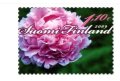 フィンランド切手　2009年 　花　シャクヤク　1種