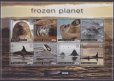 画像3: イギリス領南極地方　2011年　フローズンプラネット　アデリーペンギン　　16種 (3)