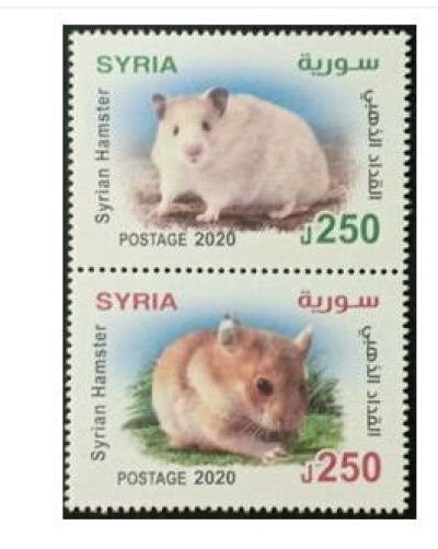 画像1: シリア切手　2020年　ゴールデンハムスター　2種