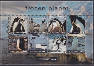 画像2: イギリス領南極地方　2011年　フローズンプラネット　アデリーペンギン　　16種