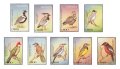 ガーナ切手　1997年　アフリカの鳥　9種