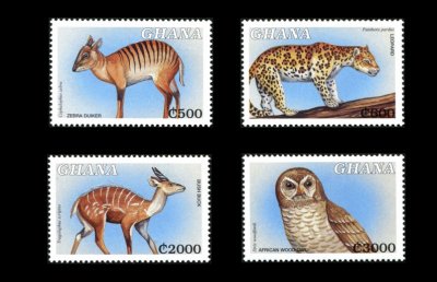 画像1: ガーナ切手　2000年　ヒョウ　鳥　アフリカヒナフクロウ　4種