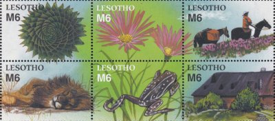 画像2: レソト切手　2002年　国連 国際エコツーリズム年　動物　カエル　6種