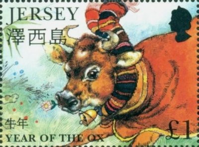 画像1: ジャージー島 切手 　1997年　旧正月  丑年　1種