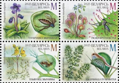 画像1: ベラルーシ切手　2025年　植物　昆虫　4種